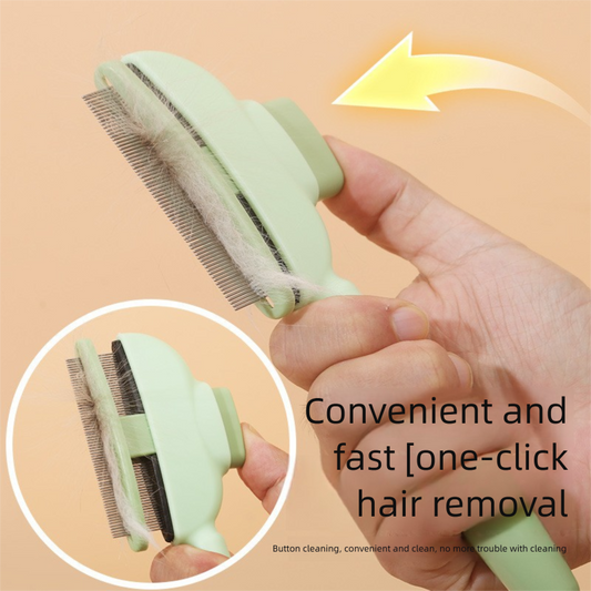 "How to Ditch 95% of Pet Hair From Your Carpet and Couch Without Spending a Fortune at the Groomers"