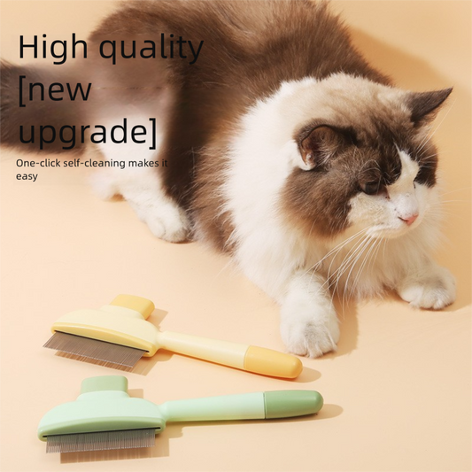"How to Ditch 95% of Pet Hair From Your Carpet and Couch Without Spending a Fortune at the Groomers"